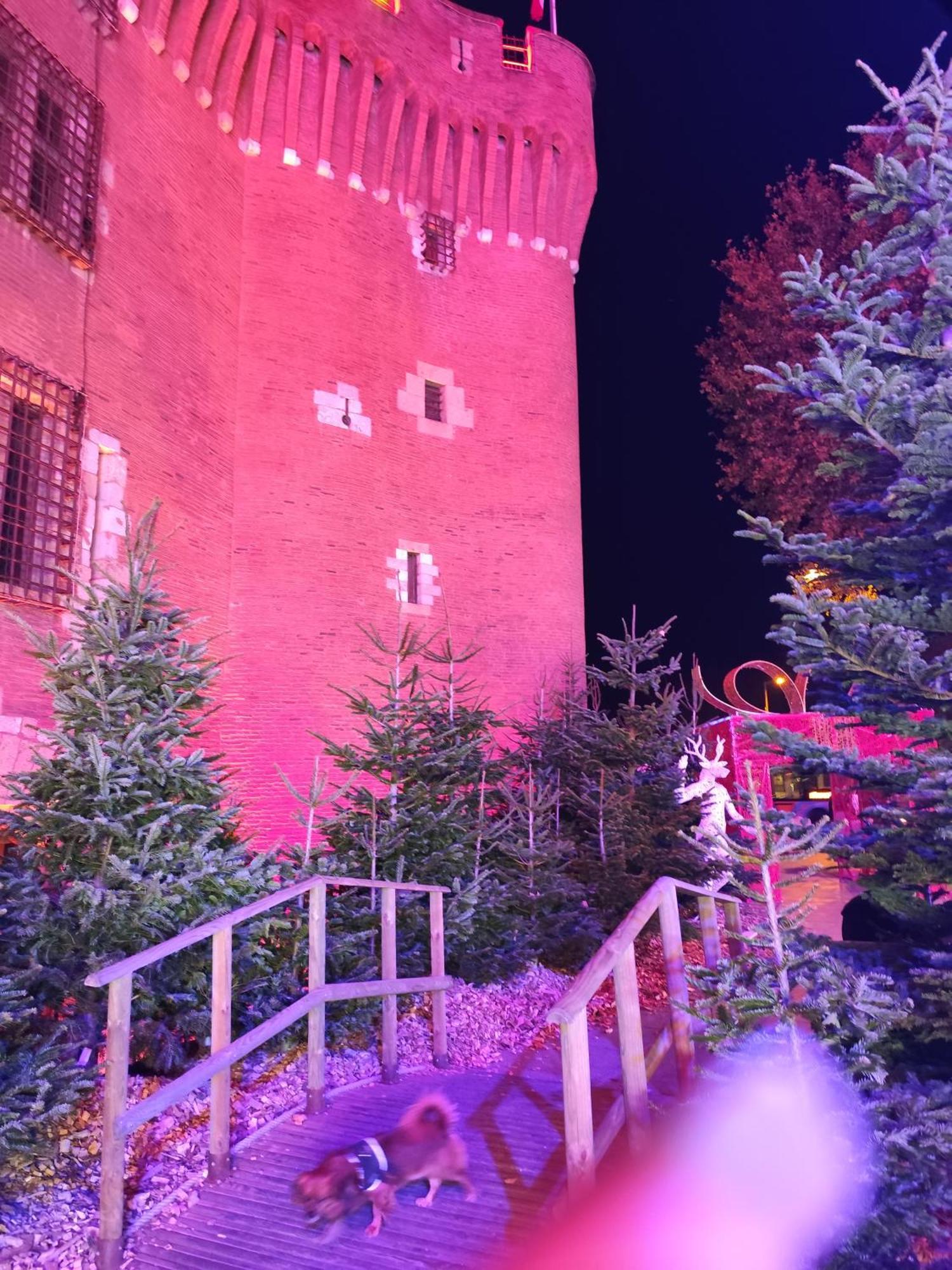 Le Balcon De La Basse Centre Ville De Perpignan Buitenkant foto